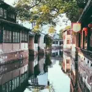 美丽中国厦门实践 | “海上大熊猫”中华白海豚逐浪嬉戏厦门湾（人民网）